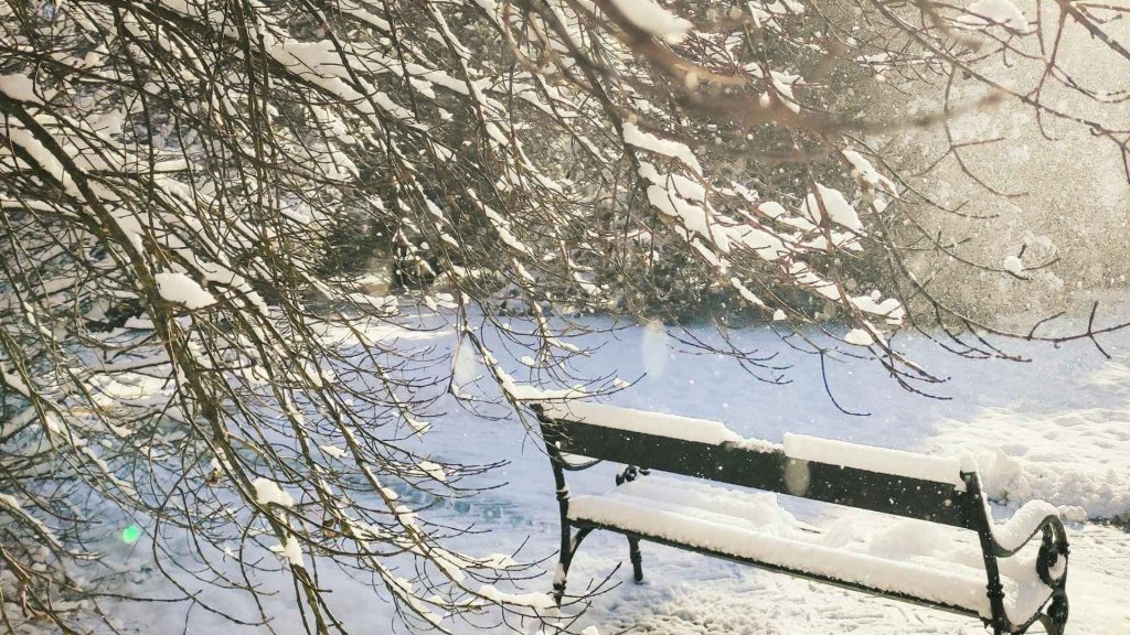 Peaceful snowfall with a bench. Therapy in Beaverton, OR can help you find peace.