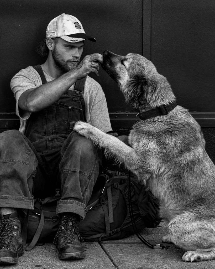 Man feeding a hungry dog. Clackamas, OR Therapy for Compassion Fatigue and Burnout